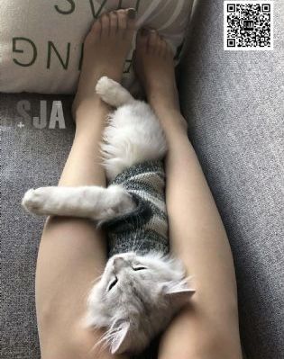 欧美美女动态图片_剧情片免费在线播放